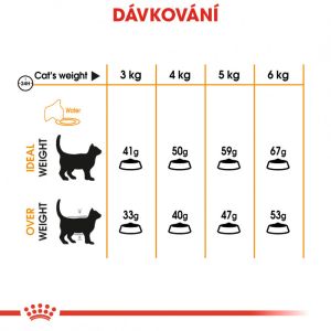 Royal Canin Hair and Skin Care granule pro kočky pro zdravou srst a kůži 10 Kg
