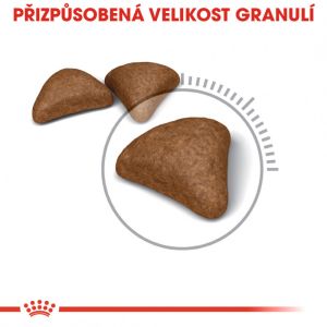 Royal Canin Hairball Care granule pro kočky pro správné vylučování 2 Kg