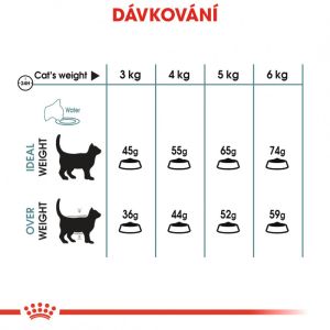 Royal Canin Hairball Care granule pro kočky pro správné vylučování 2 Kg