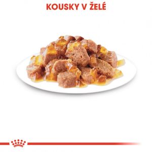 Royal Canin Intense Beauty Jelly kapsička pro kočky v želé 85 g