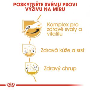 Royal Canin Jack Russell Adult granule pro dospělého jack russell teriéra 1.5 Kg