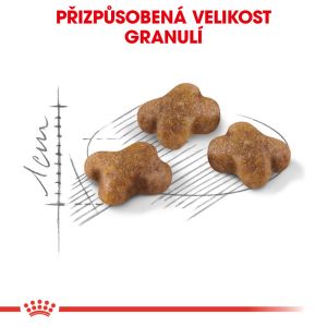 Royal Canin Kitten granule pro koťata 4 Kg