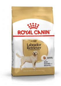 Royal Canin Labrador Adult granule pro dospělého labradora 3 Kg
