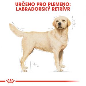 Royal Canin Labrador Adult granule pro dospělého labradora 3 Kg