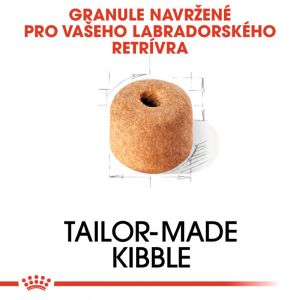 Royal Canin Labrador Adult granule pro dospělého labradora 3 Kg