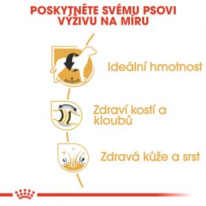 Royal Canin Labrador Adult granule pro dospělého labradora 3 Kg
