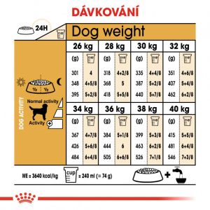 Royal Canin Labrador Adult granule pro dospělého labradora 3 Kg