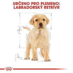 Royal Canin Labrador Puppy granule pro štěně labradora 12 Kg