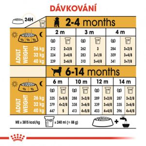 Royal Canin Labrador Puppy granule pro štěně labradora 12 Kg