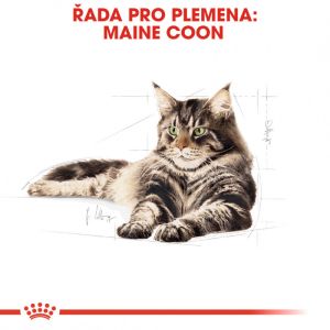 Royal Canin Maine Coon Adult granule pro mainské mývalí kočky 10 Kg