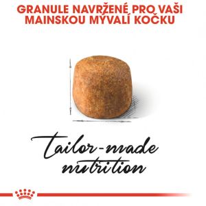Royal Canin Maine Coon Adult granule pro mainské mývalí kočky 10 Kg