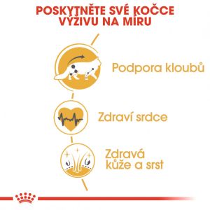 Royal Canin Maine Coon Adult granule pro mainské mývalí kočky 10 Kg