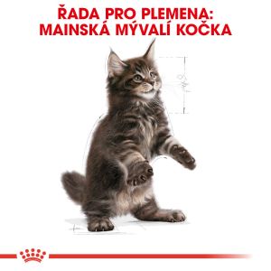 Royal Canin Maine Coon Kitten granule pro mainská mývalí koťata 10 Kg
