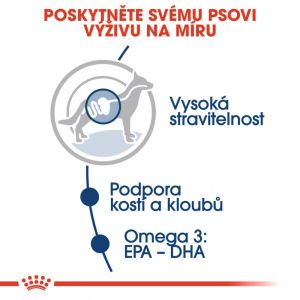 Royal Canin Maxi Adult kapsička pro dospělé velké psy 140 g