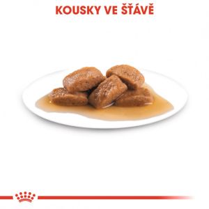 Royal Canin Maxi Adult kapsička pro dospělé velké psy 140 g