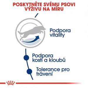 Royal Canin Maxi Adult 5+ granule pro dospělé stárnoucí velké psy 15 Kg