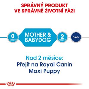 Royal Canin Maxi Starter Mother&Babydog granule pro březí nebo kojící feny a štěňata 4 Kg
