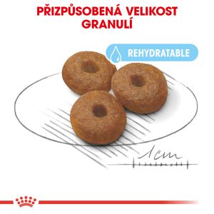 Royal Canin Maxi Starter Mother&Babydog granule pro březí nebo kojící feny a štěňata 4 Kg