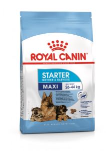 Royal Canin Maxi Starter Mother&Babydog granule pro březí nebo kojící feny a štěňata 4 Kg