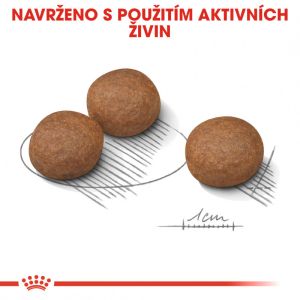 Royal Canin Medium Digestive Care granule pro střední psy s citlivým trávením 3 Kg