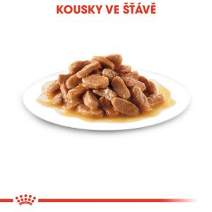 Royal Canin Medium Puppy kapsička pro střední štěňata 140 g