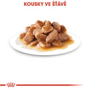 Royal Canin Mini Adult kapsička pro dospělé malé psy 85 g