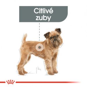 Royal Canin Mini Dental Care granule pro psy snižující tvorbu zubního kamene 1 Kg