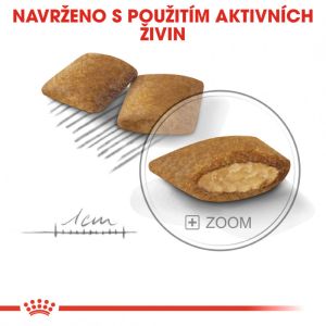 Royal Canin Mini Exigent granule pro mlsné malé psy 1 Kg