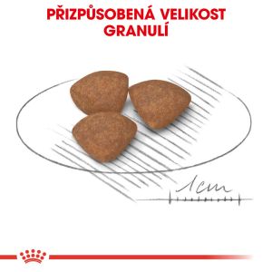 Royal Canin Mini Puppy granule pro malá štěňata 4 Kg