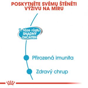 Royal Canin Starter Mousse konzerva pro březí nebo kojící feny a štěňata 195 g