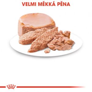 Royal Canin Starter Mousse konzerva pro březí nebo kojící feny a štěňata 195 g