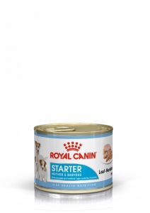 Royal Canin Starter Mousse konzerva pro březí nebo kojící feny a štěňata 195 g
