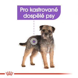 Royal Canin Mini Sterilised granule pro kastrované malé psy 8 Kg