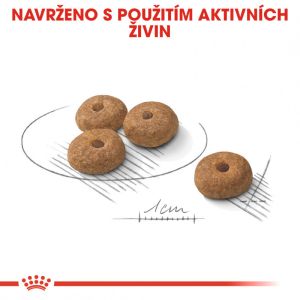 Royal Canin Mini Sterilised granule pro kastrované malé psy 8 Kg