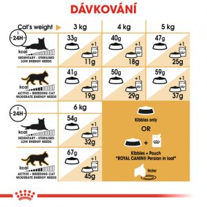 Royal Canin Persian Adult granule pro perské kočky 4 Kg