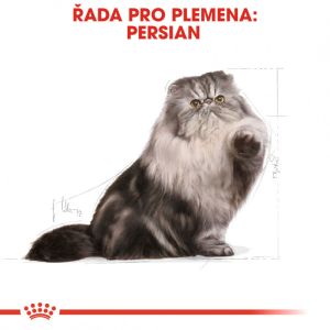 Royal Canin Persian Adult granule pro perské kočky 4 Kg