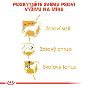 Royal Canin Poodle Adult granule pro dospělého pudla 1.5 Kg