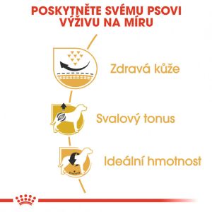 Royal Canin Pug Adult granule pro dospělého mopse 1.5 Kg