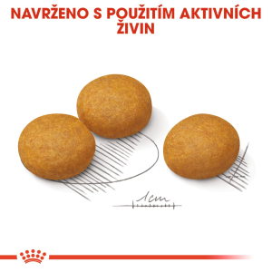 Royal Canin Maxi Dermacomfort granule pro psy velkých plemen s kožními problémy - 12 kg