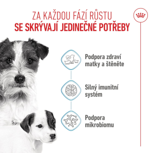 Royal Canin Mini Starter Mother&Babydog granule pro březí a kojící feny a štěňata - 8 kg