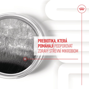 Royal Canin Supplements Dog Digestion Adult suplementy pro psy na podporu zdravého trávicího traktu - 160 g