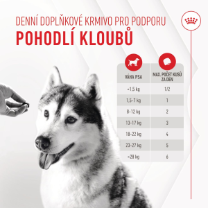 Royal Canin Supplements Dog Joint & Ageing Adult suplementy pro psy na podporu zdravého stárnutí a kvality kloubů - 240 g