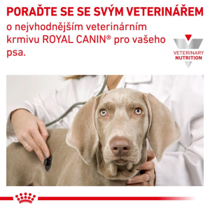 Royal Canin Kompletní dietní krmivo pro malé psy do 10 kg VHN Anallergenic Small Dog 3 Kg