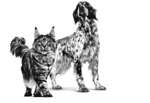Royal Canin Kompletní dietní krmivo pro psy a kočky 195 g