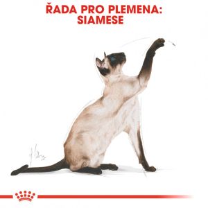 Royal Canin Siamese Adult granule pro siamské kočky 2 Kg