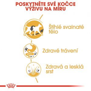 Royal Canin Siamese Adult granule pro siamské kočky 2 Kg