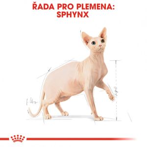 Royal Canin Sphynx Adult granule pro sphynx kočky 10 Kg