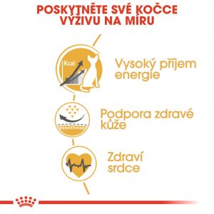 Royal Canin Sphynx Adult granule pro sphynx kočky 10 Kg
