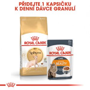 Royal Canin Sphynx Adult granule pro sphynx kočky 10 Kg