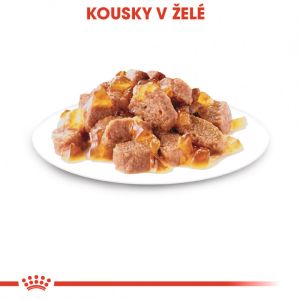 Royal Canin Sterilised Jelly kapsička pro kastrované kočky v želé 85 g
